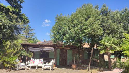 Podere Casa La Gualda - Foto 3, Garden, sunbed, Garden view