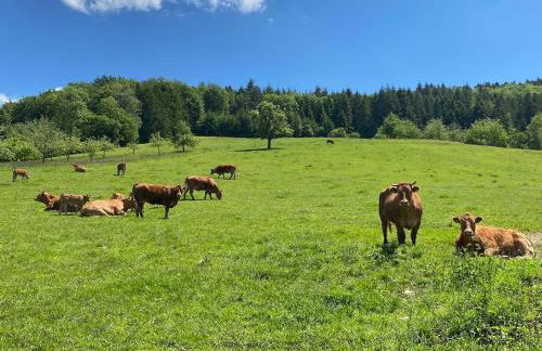 Kerns Ferienwohnung - Foto 13