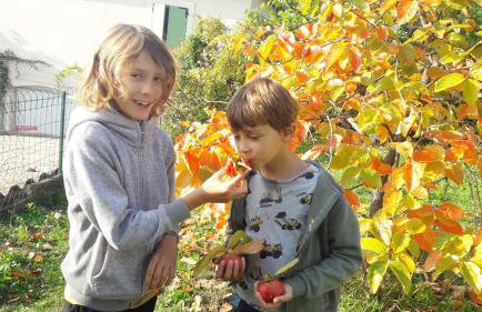 Holidays In Provence Alpes Maritimes - Foto 15