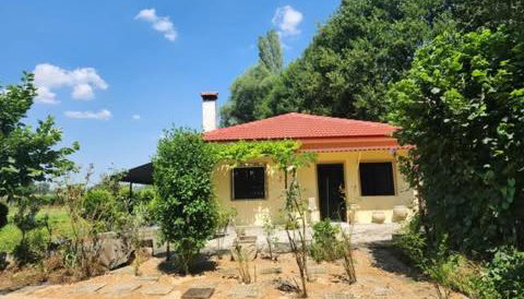 River side house - Photo 2