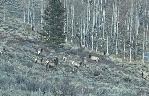 New for 2025 Chalet Homestake View - Foto 40