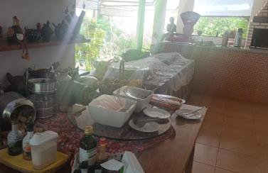 Ananda Multiverse Evolve 15' from the Botanical Garden - Foto 8