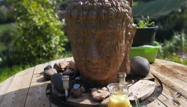 Nature Sanctuary, a semi-detached house on an ecological & sustainable farm - Foto 2