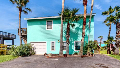 Lost Colony Lost Sea Turtle - Foto 1