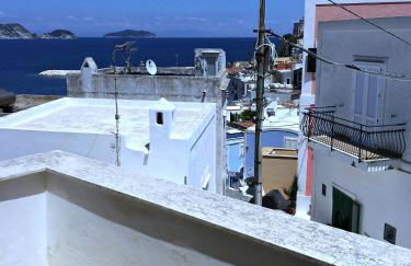 Maridea - Turritella - Foto 10