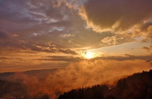 Apartman ANAMARIA - Foto 24