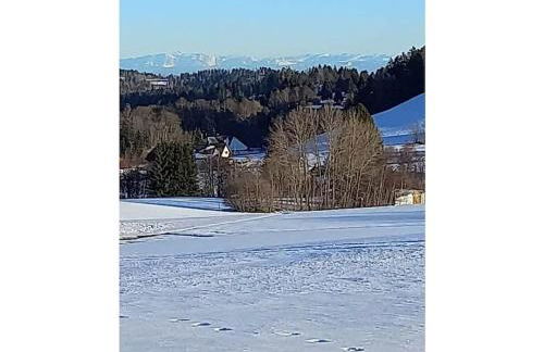 Country house on the Dachsberg - Foto 29
