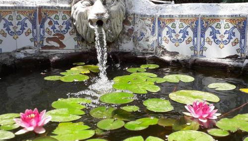 Casa Margarita - Foto 4