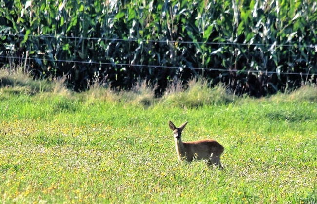 Westerheide Modern Retreat - Foto 17