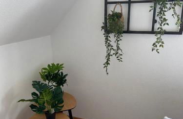 ZWITSCHERNEST Stilvolle helle Ferienwohnung Gästezimmer Monteurwohnung für 1 bis 6 Personen 3 Zimmer 60 qm - Foto 18