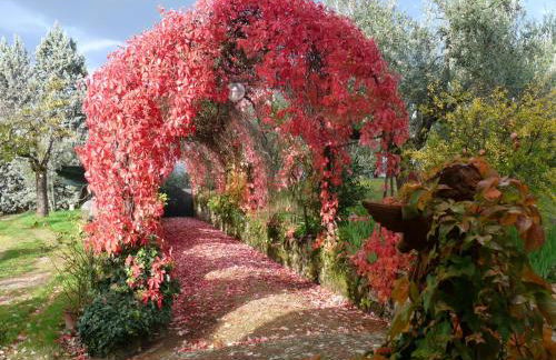 Il Casalone - Foto 19