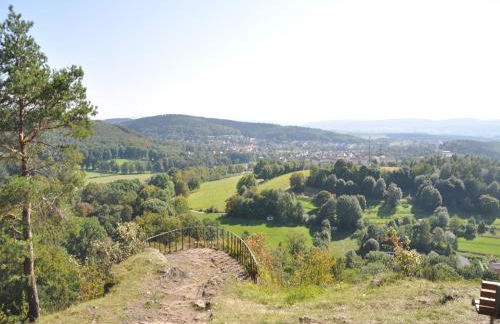 holiday home in the Thuringian Forest with roof - Foto 28