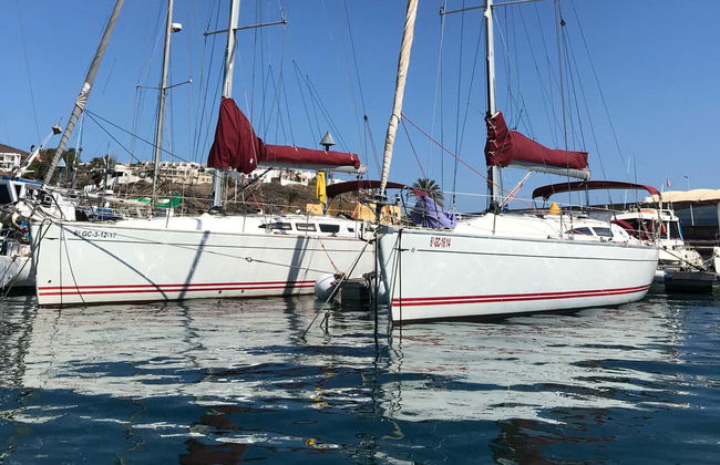 Paseo en velero con avistamiento de cetáceos desde Morro Jable - Foto 2