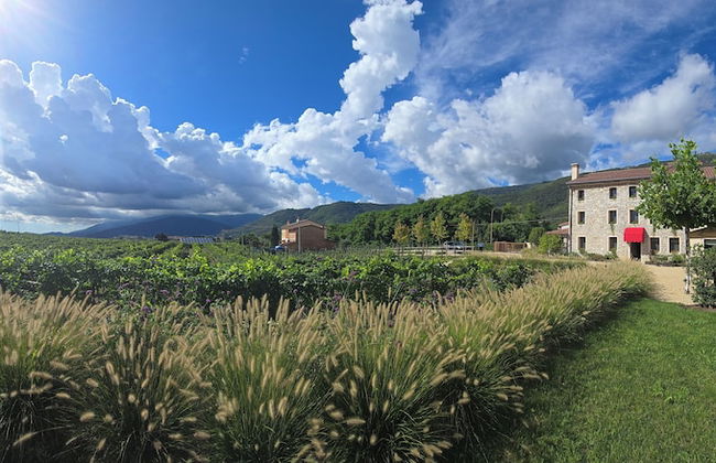 Casa Valdo Country House - Photo 51