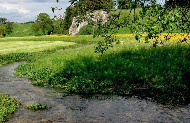 Aparthotel Parsberg Green Design Ferstl - Foto 59