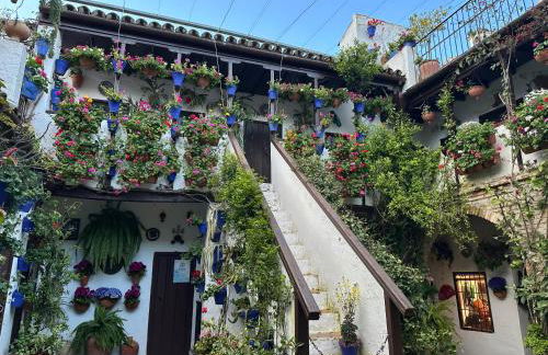 Apartamento Alcázar San Basilio - Foto 21