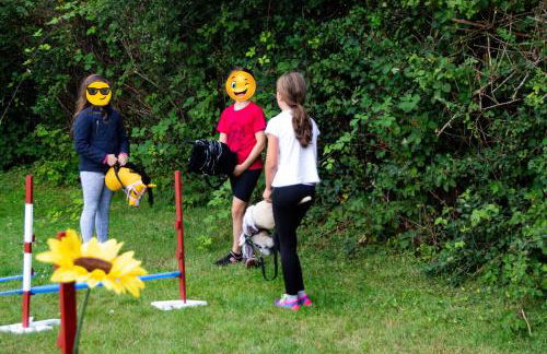 Meislahnhof Fehmarn - Foto 80