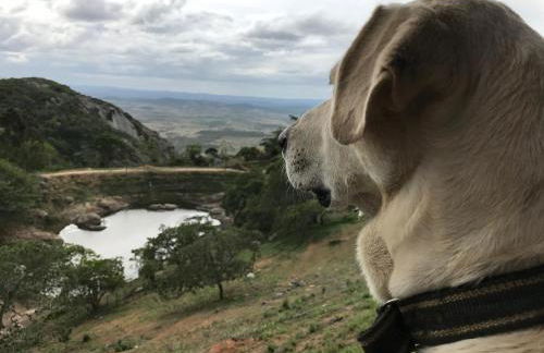 Refúgio Serra Negra - PE - Foto 18