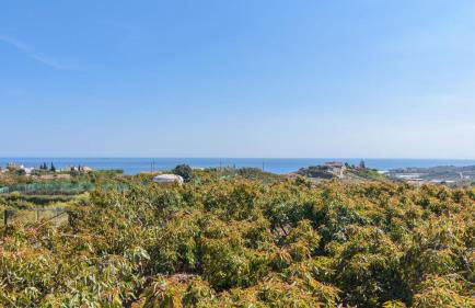 Casa Maria de Velez Almayate Alto by Ruralidays - Photo 6