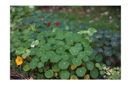 Château D'harcelaines - Foto 92