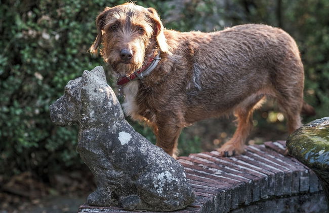 Fontelunga Hotel & Villas - Foto 33