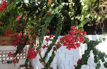 Villa Alicante Sunbeach - Foto 18