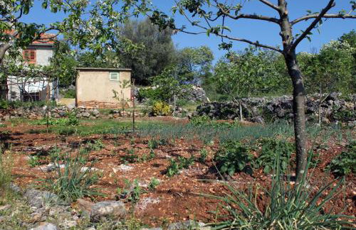 Apartments with a parking space Zupanje, Krk - 5307 - Foto 9