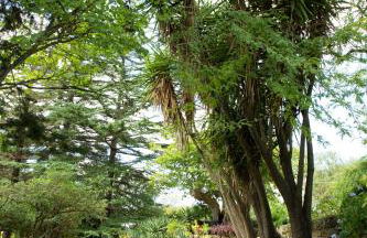 Villa Titì - Foto 18