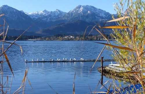 Ferienwohnung Allgäuer Landhaus Stocker in Hopferau-Füssen - Foto 36