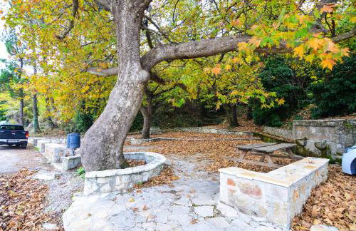 The Theater of Dreams - Foto 7