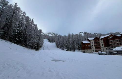 Résidence Albane, T3 entièrement refait - Foto 6