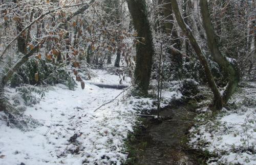 Villa Bosque Albite - Foto 42