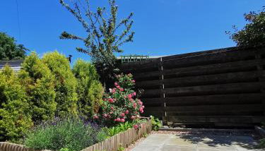 Hazeldene Apartment Unit - Photo 2, Garden