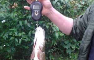 Domek nad jeziorem - Foto 27