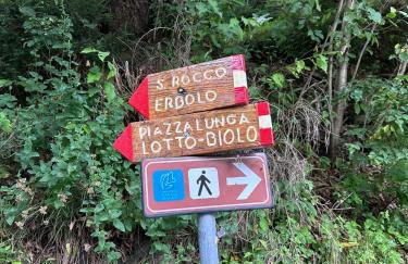 Oasi Alpina - Foto 40