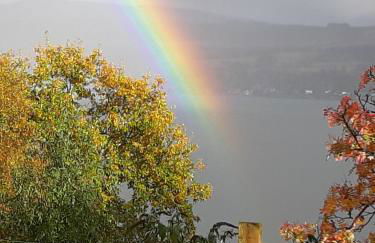 Off Grid 1-bed Cabin, Pets Ok, 20 Mins to Dunoon - Foto 40