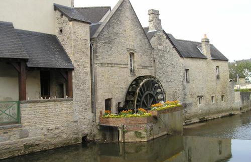 Le Chat Qui Veille - Photo 35