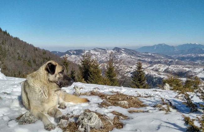 Senderismo por Ciocanu - Foto 6