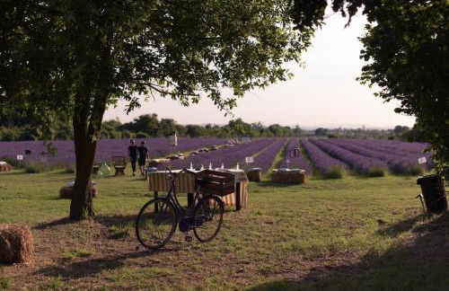 B&B Il Molinello - Foto 58