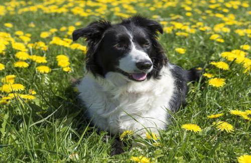 3 Bed in Rattray 90111 - Photo 8