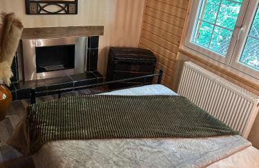 Chalet - gîte avec étang - Foto 51