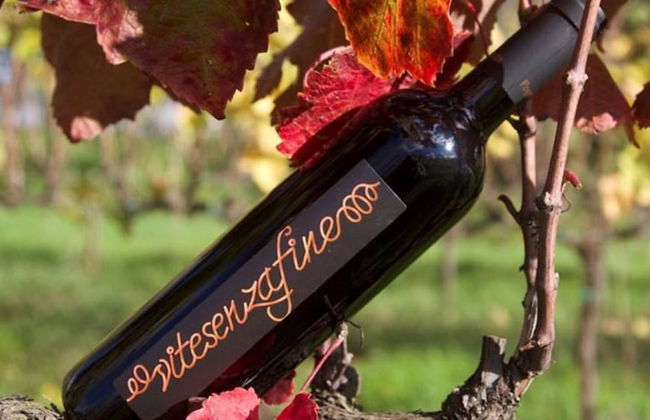 POGGIO CASALE - Foto 29