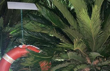 Villa Keti apartments Pool & Wellness - Photo 85