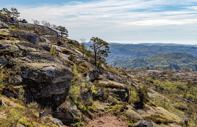 7 Person Holiday Home in Lyngdal - Foto 10