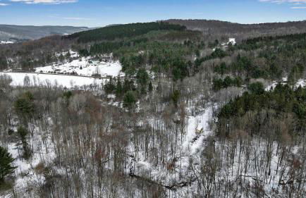 Modern Tiny Home Wraparound Deck - Foto 61