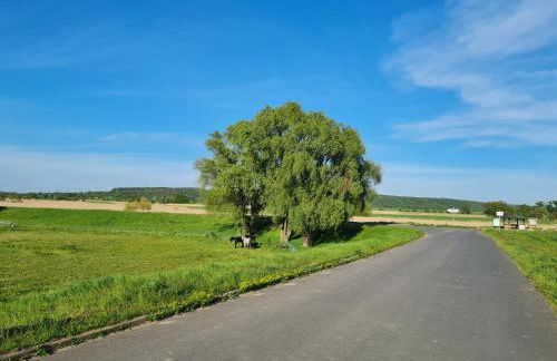 Ferienwohnungen Stolzenhagener 7 - Foto 29