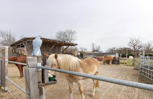 Bachbubenhof - Foto 12