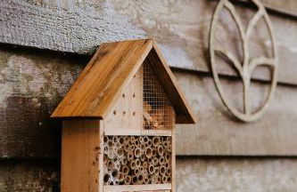 Gîtes du Bulz, en pleine forêt proche de la mer - Photo 36