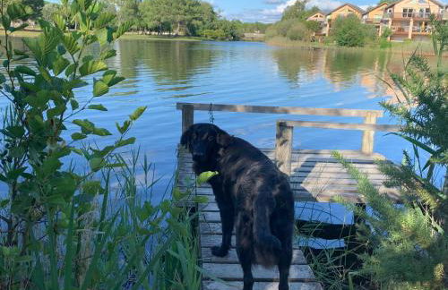 250 lake waterfront holiday apartment with garden - Foto 17