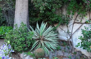 Casa Gazzano - Photo 54